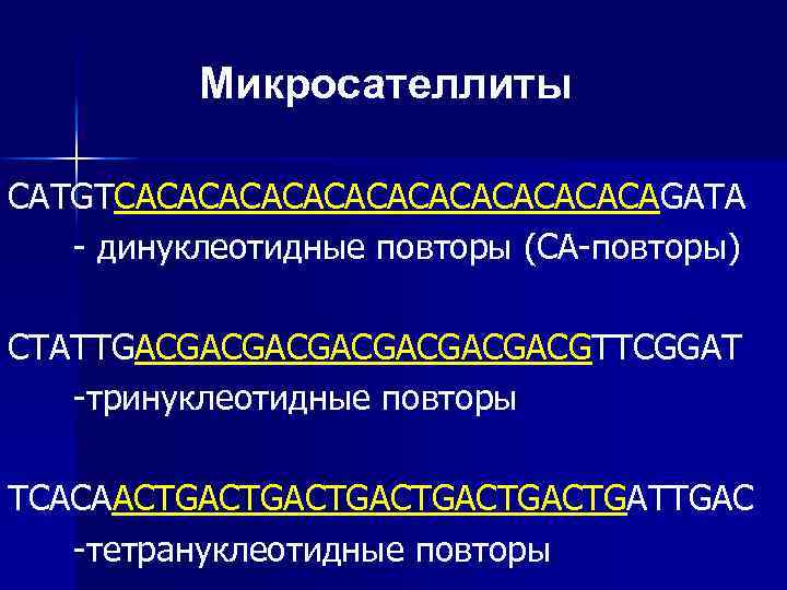 Микросателлиты CATGTCAСАСАСАСАСАСАGATA - динуклеотидные повторы (CA-повторы) CTATTGACGACGACGACGTTCGGAT -тринуклеотидные повторы TCACAACTGACTGACTGATTGAC -тетрануклеотидные повторы 