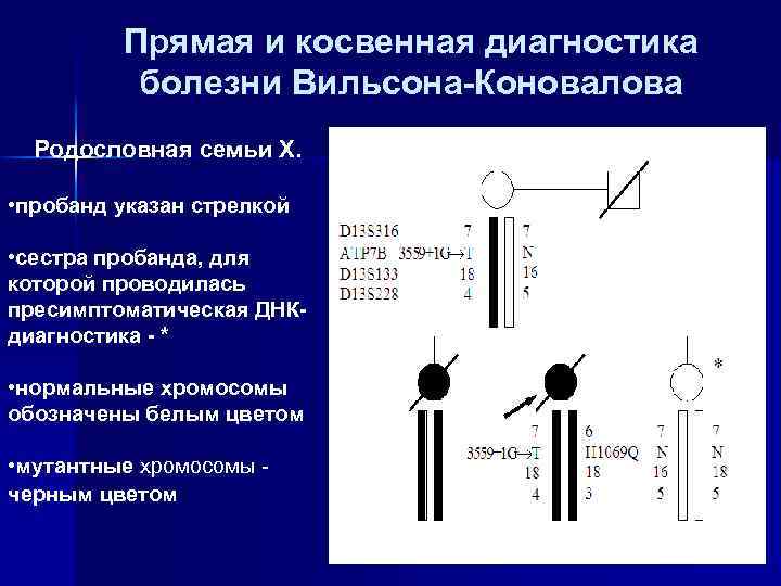 Прямая и косвенная диагностика болезни Вильсона-Коновалова Родословная семьи Х. • пробанд указан стрелкой •