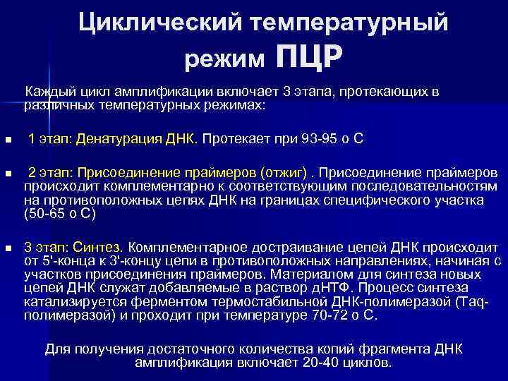 Циклический температурный режим ПЦР Каждый цикл амплификации включает 3 этапа, протекающих в различных температурных