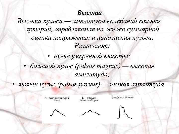 Высота пульса — амплитуда колебаний стенки артерий, определяемая на основе суммарной оценки напряжения и