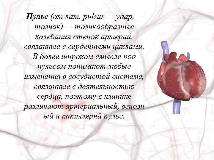 Пульс (от лат. pulsus — удар, толчок) — толчкообразные колебания стенок артерий, связанные с
