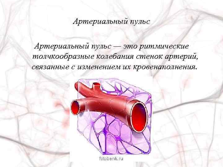 Колебание стенок артерий. Артериальный пульс. Пульс это ритмические колебания стенок артерий. Пульс на артериях. Артериальный и венозный пульс физиология.