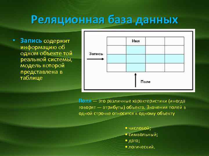 Какую информацию содержит