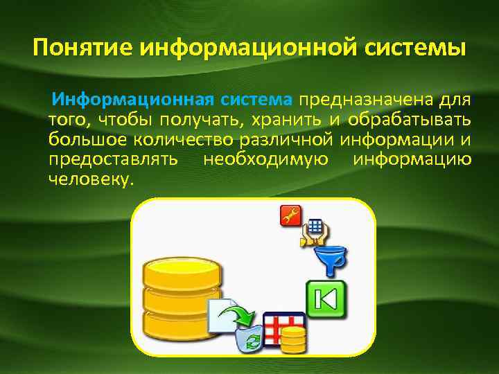 Понятие информационной системы Информационная система предназначена для того, чтобы получать, хранить и обрабатывать большое