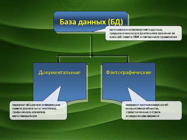  База данных (БД) организованная совокупность данных, предназначенная длительного хранения во внешней памяти ЭВМ