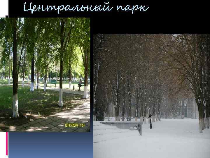 Центральный парк 