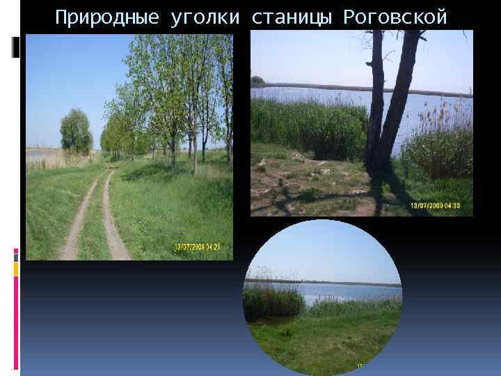 Природные уголки станицы Роговской 