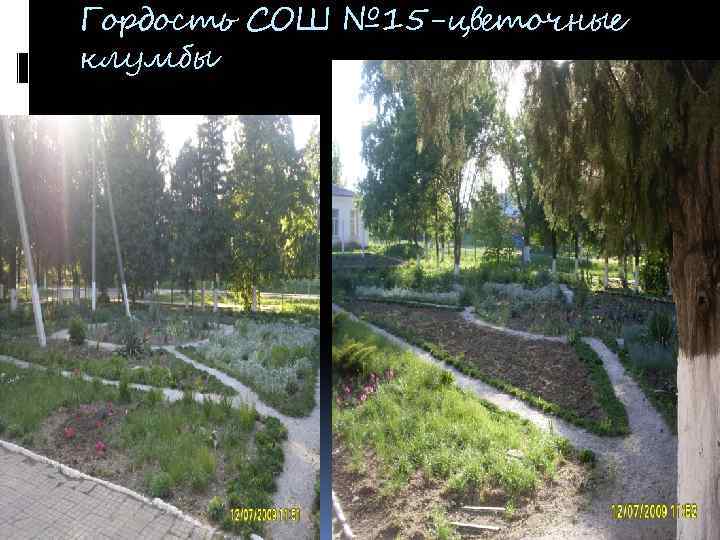 Гордость СОШ № 15 -цветочные клумбы 