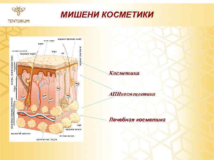 МИШЕНИ КОСМЕТИКИ Косметика АПИкосмецевтика Лечебная косметика 