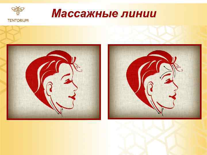 Массажные линии 