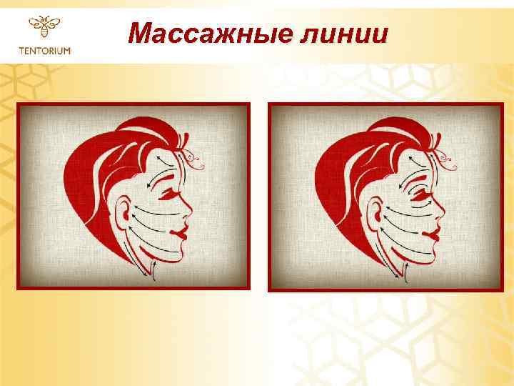 Массажные линии 