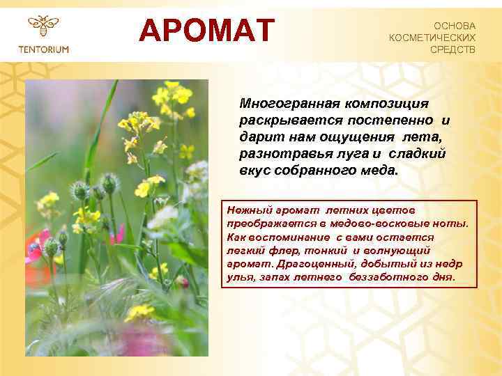 АРОМАТ ОСНОВА КОСМЕТИЧЕСКИХ СРЕДСТВ Многогранная композиция раскрывается постепенно и дарит нам ощущения лета, разнотравья