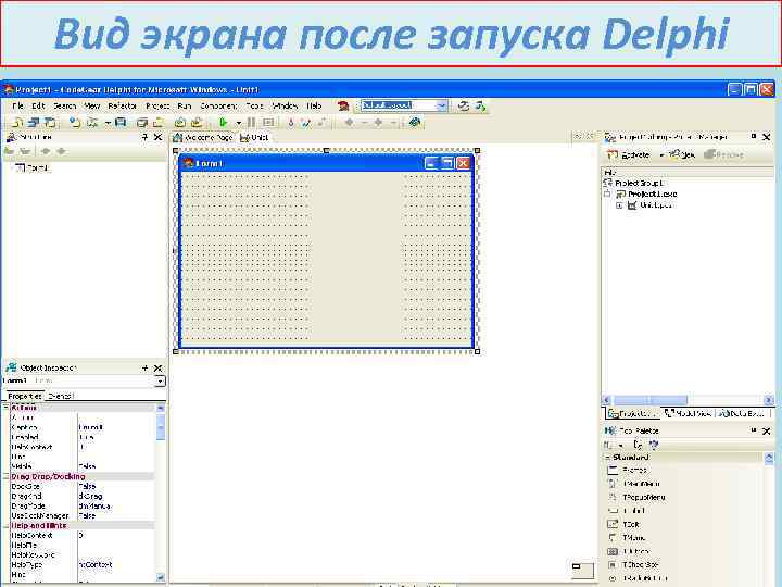 Вид экрана после запуска Delphi 