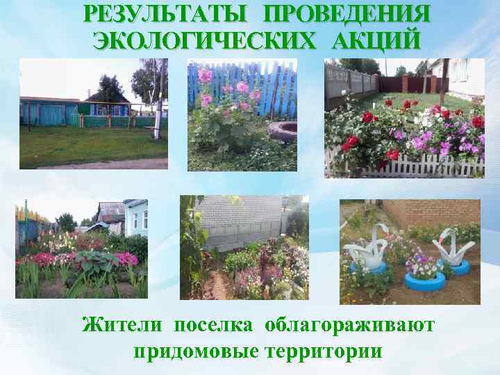 РЕЗУЛЬТАТЫ ПРОВЕДЕНИЯ ЭКОЛОГИЧЕСКИХ АКЦИЙ Жители поселка облагораживают придомовые территории 
