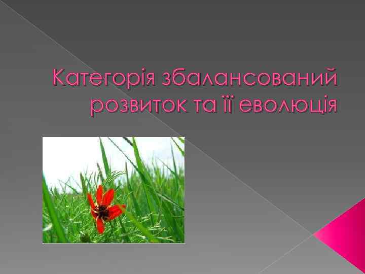 Категорія збалансований розвиток та її еволюція 