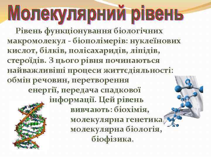  Рівень функціонування біологічних макромолекул - біополімерів: нуклеїнових кислот, білків, полісахаридів, ліпідів, стероїдів. З