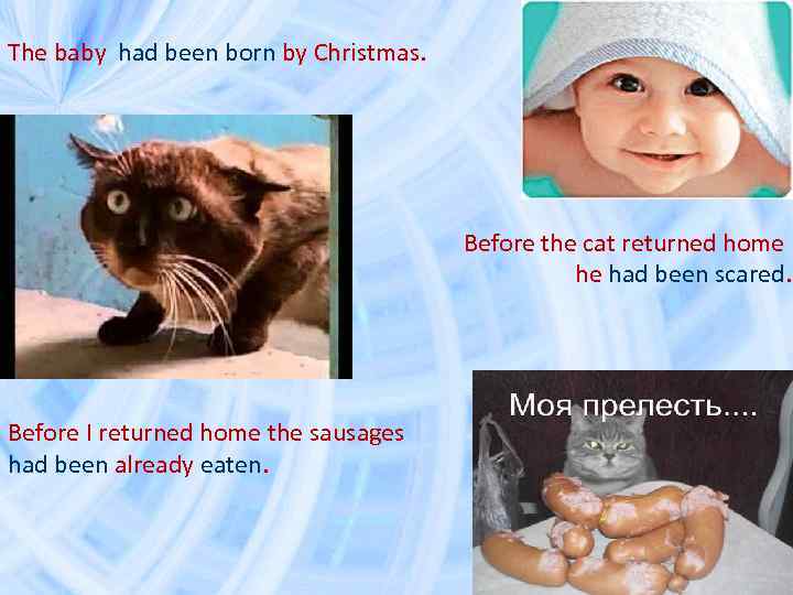 The baby had been born by Christmas. Before the cat returned home he had