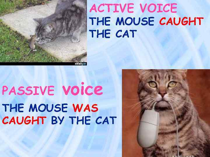 Meme voice. Passive Voice надпись. Passive Voice картинки. Passive Voice смешные картинки. Passive Voice Мем.