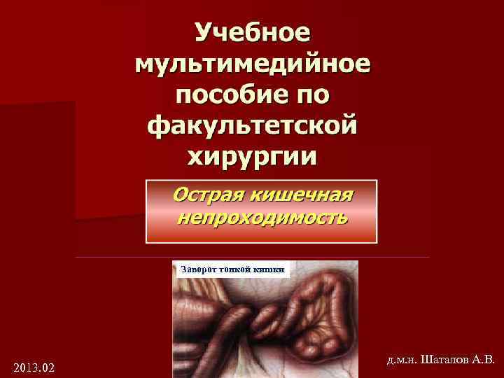 Заворот тонкой кишки 2013. 02 д. м. н. Шаталов А. В. 