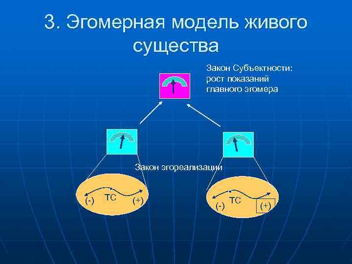 3. Эгомерная модель живого существа Закон Субъектности: рост показаний главного эгомера Закон эгореализации (-)