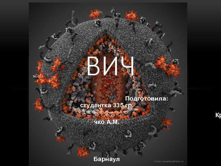 ВИЧ Подготовила: студентка 335 гр. чко А. М. Барнаул Кр 