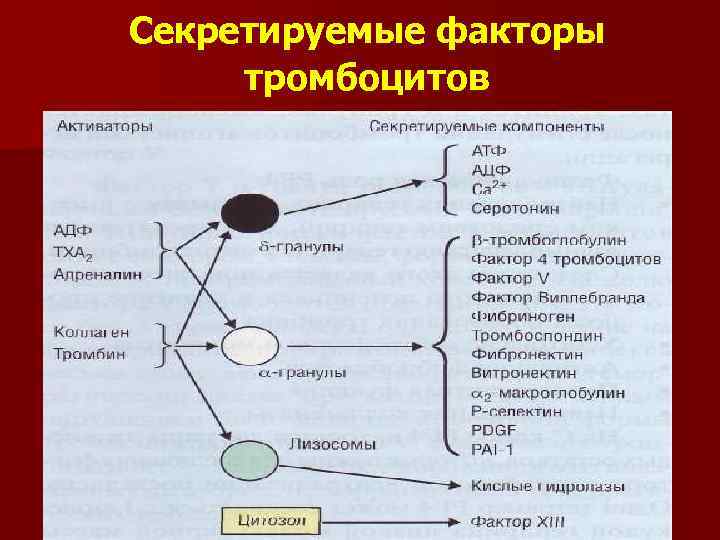 Активация тромбоцитов схема