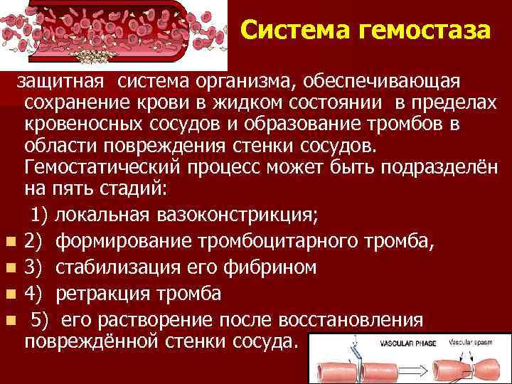 Система гемостаза защитная система организма, обеспечивающая сохранение крови в жидком состоянии в пределах кровеносных