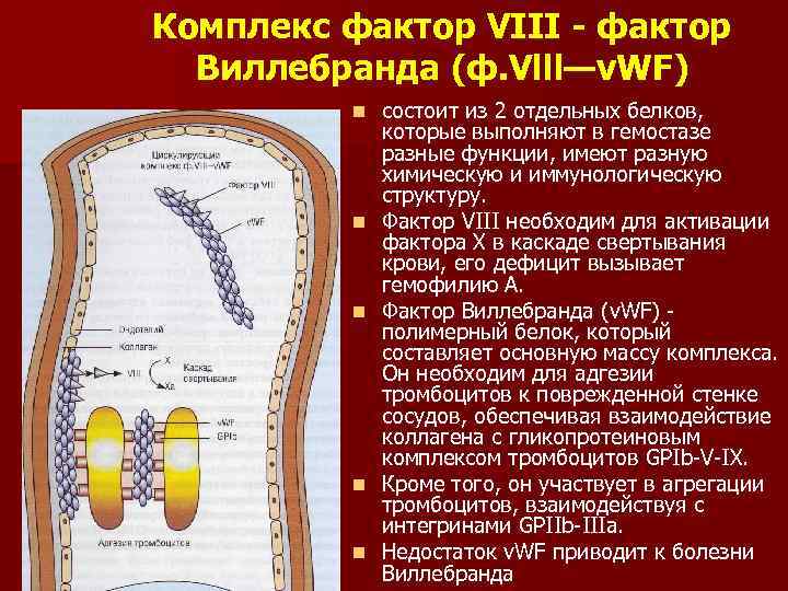 Комплекс фактор