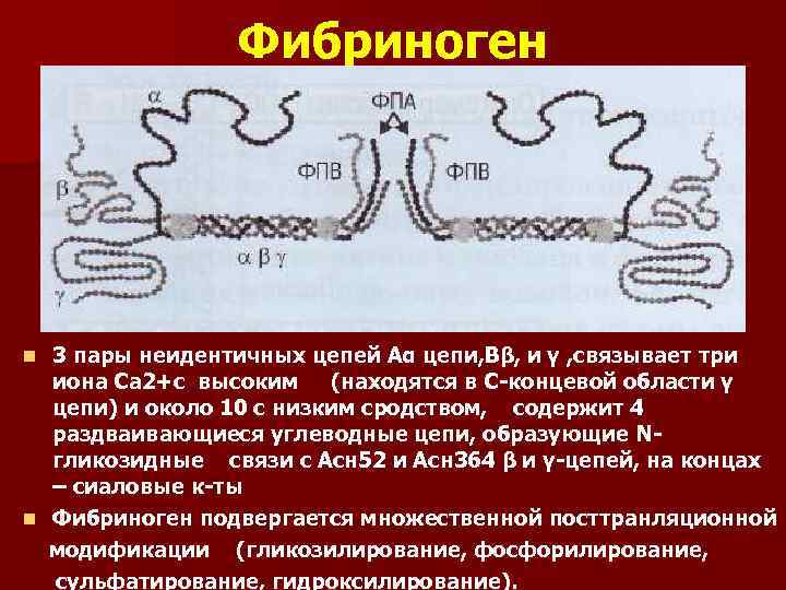 Количество фибриногена