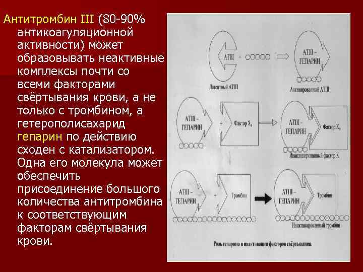 Антитромбин III (80 -90% антикоагуляционной активности) может образовывать неактивные комплексы почти со всеми факторами