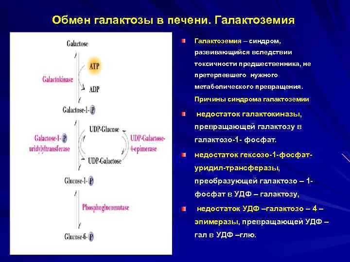 Обмен галактозы в печени. Галактоземия – синдром, развивающийся вследствии токсичности предшественника, не претерпевшего нужного