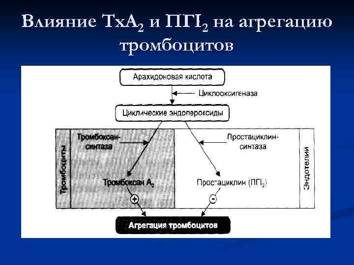 Влияние Тх. А 2 и ПГI 2 на агрегацию тромбоцитов 