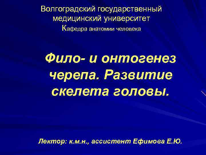 Волгоградский государственный медицинский университет Кафедра анатомии человека Фило- и онтогенез черепа. Развитие скелета головы.