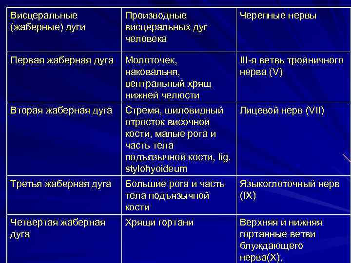 Висцеральные (жаберные) дуги Производные висцеральных дуг человека Черепные нервы Первая жаберная дуга Молоточек, наковальня,