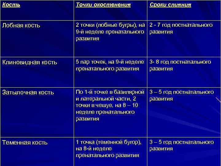 Кость Точки окостенения Сроки слияния Лобная кость 2 точки (лобные бугры), на 2 -