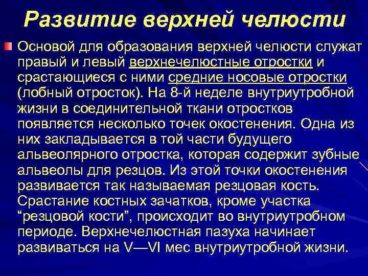 Развитие верхней челюсти Основой для образования верхней челюсти служат правый и левый верхнечелюстные отростки