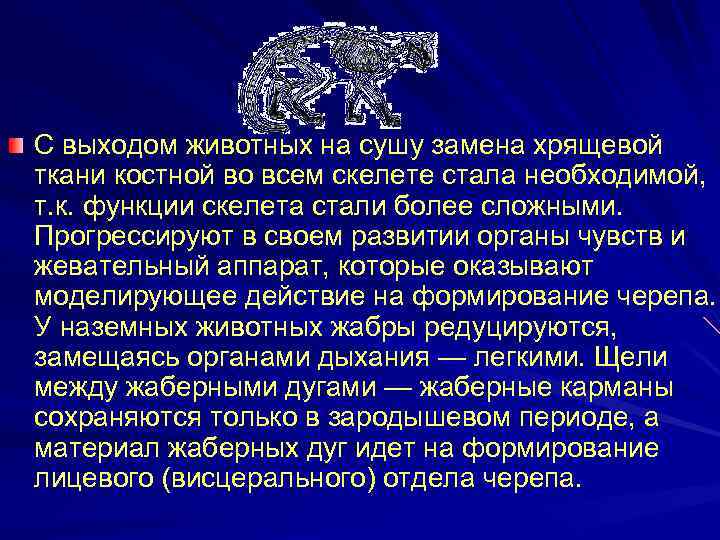 С выходом животных на сушу замена хрящевой ткани костной во всем скелете стала необходимой,