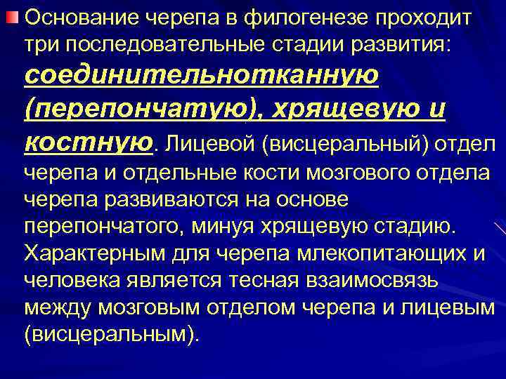 Основание черепа в филогенезе проходит три последовательные стадии развития: соединительнотканную (перепончатую), хрящевую и костную.