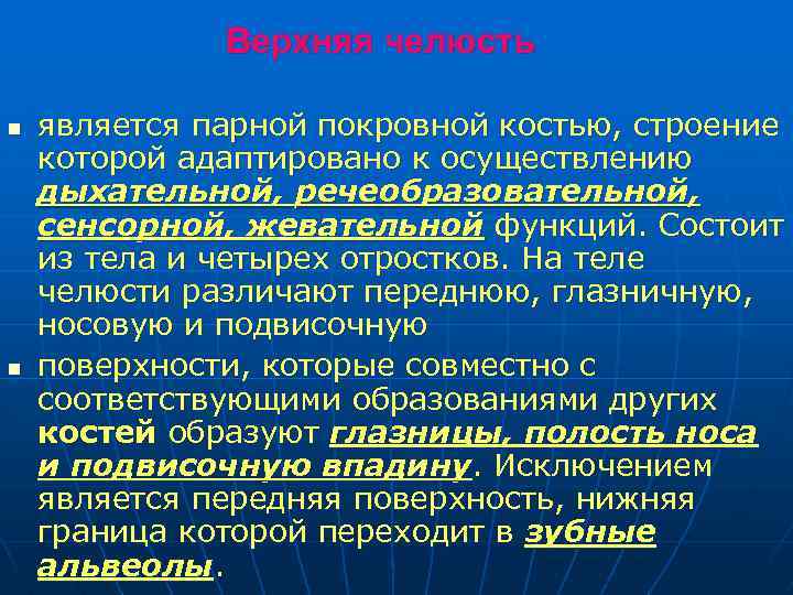 Верхняя челюсть n n является парной покровной костью, строение которой адаптировано к осуществлению дыхательной,