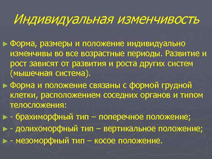 Индивидуальная изменчивость ► Форма, размеры и положение индивидуально изменчивы во все возрастные периоды. Развитие