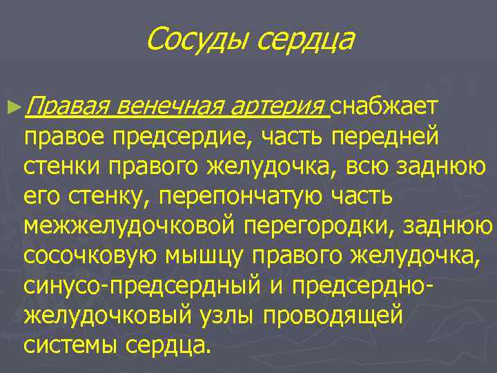 Сосуды сердца ►Правая венечная артерия снабжает правое предсердие, часть передней стенки правого желудочка, всю