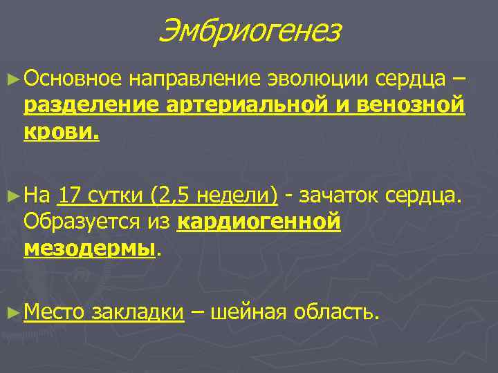 Эмбриогенез ► Основное направление эволюции сердца – разделение артериальной и венозной крови. ► На