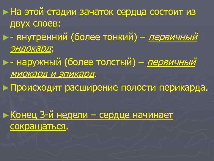 ► На этой стадии зачаток сердца состоит из двух слоев: ► - внутренний (более