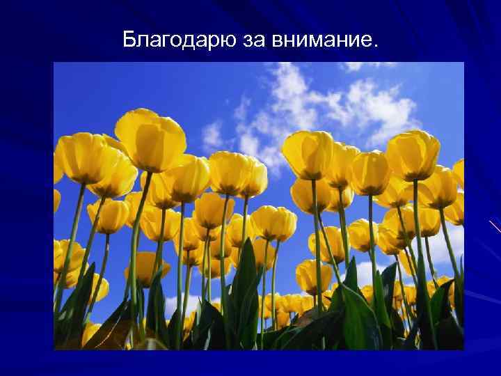 Благодарю за внимание. 
