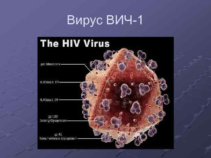Вирус ВИЧ 1 