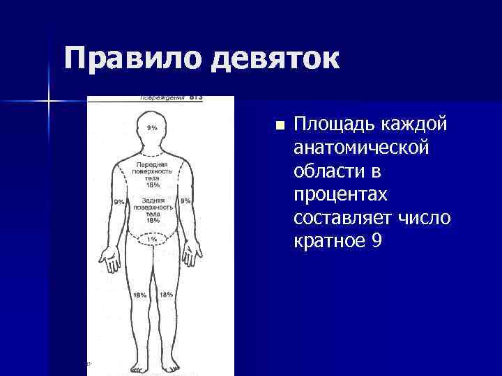 Правило девяток. Площадь ожога верхней конечности. Ожоги по правилу правило 9. Площадь ожога в процентах передней части туловища.