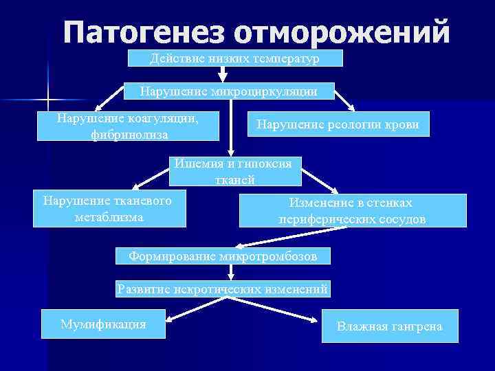 Патогенез отморожения схема