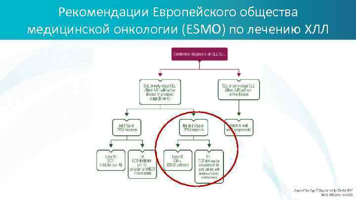 Рекомендации Европейского общества медицинской онкологии (ESMO) по лечению ХЛЛ 