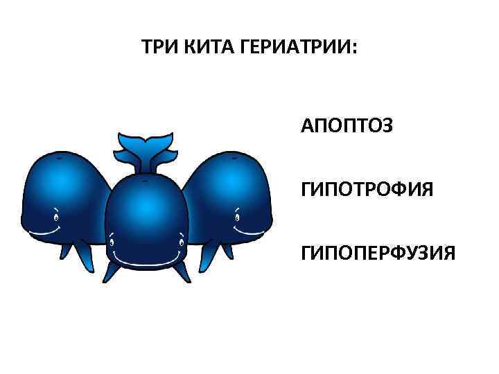 ТРИ КИТА ГЕРИАТРИИ: • АПОПТОЗ • ГИПОТРОФИЯ • ГИПОПЕРФУЗИЯ 