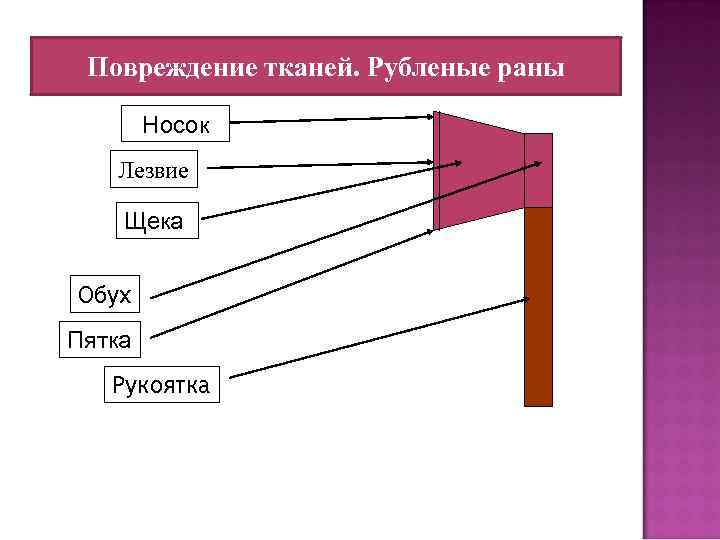 Повреждение тканей. Рубленые раны Носок Лезвие Щека Обух Пятка Рукоятка 